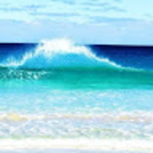 Meet your Posher, Ella